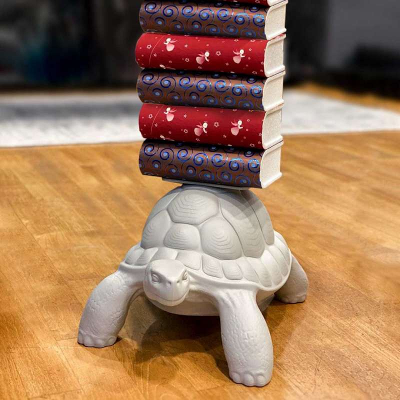 TURTLE CARRY
