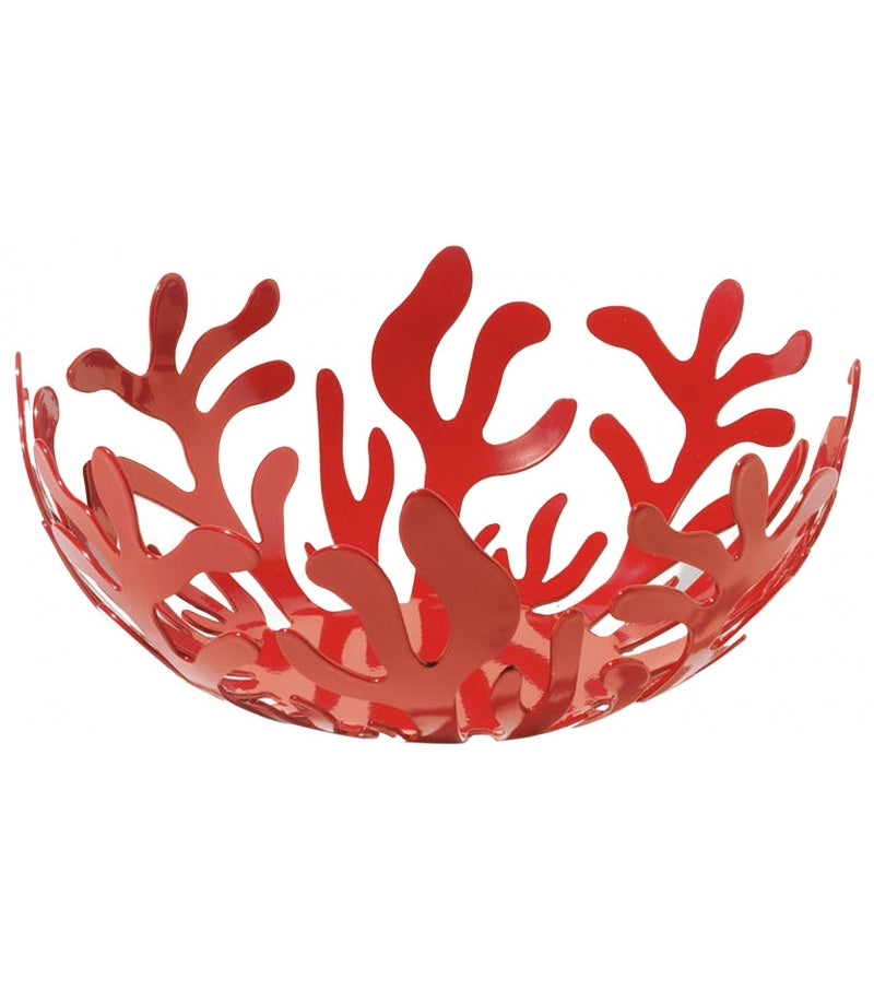 MEDITERRANEO