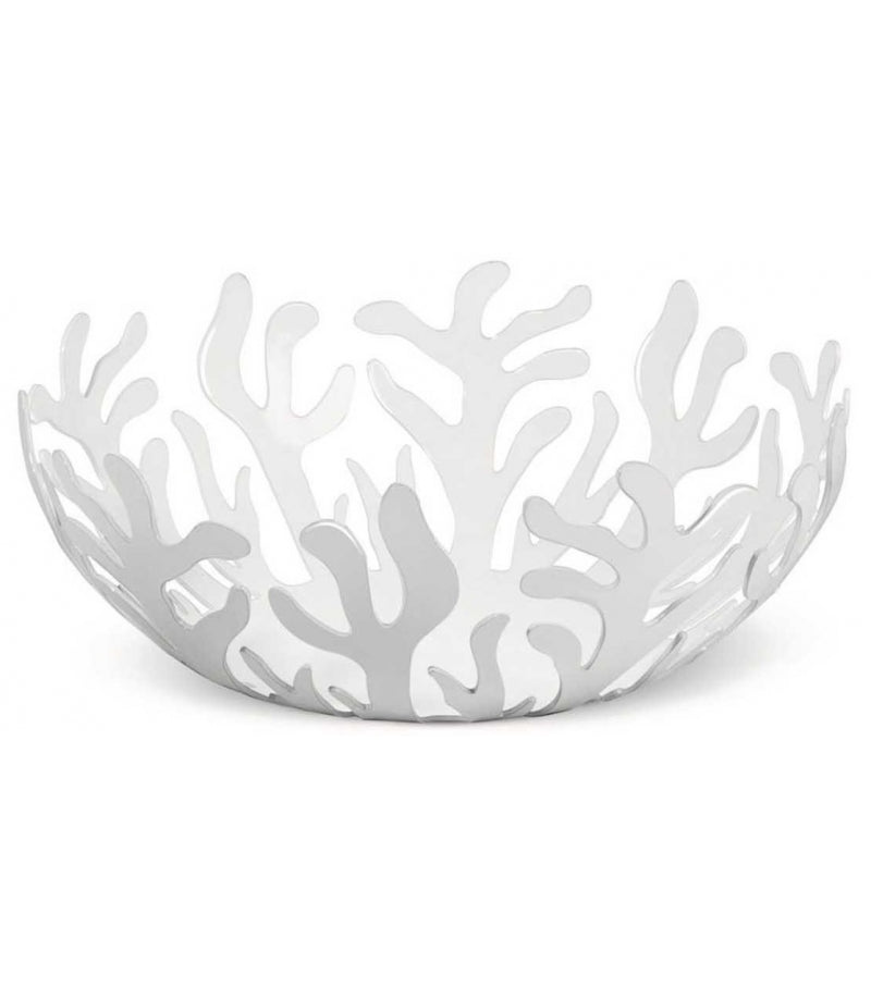 MEDITERRANEO